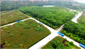 杭州常林-綠色礦山建設(shè)，為何鐘情山推挖掘機—湖州美卓礦業(yè)